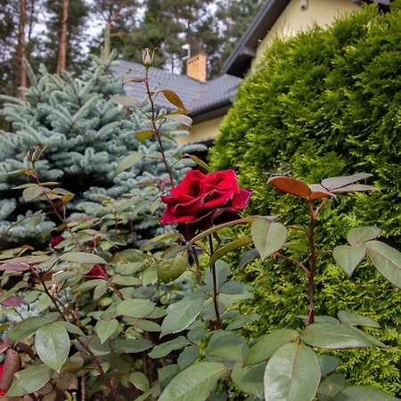 Sloneczny Zakatek Проживание в семье Debina (Ustka)