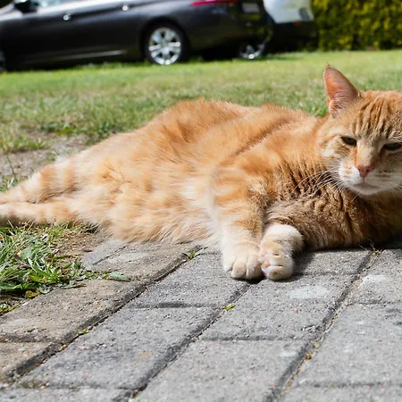 홈스테이 Sloneczny Zakatek Debina (Ustka)