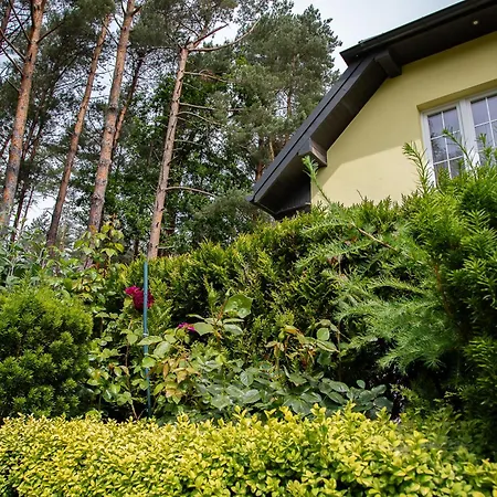 Проживание в семье Sloneczny Zakatek