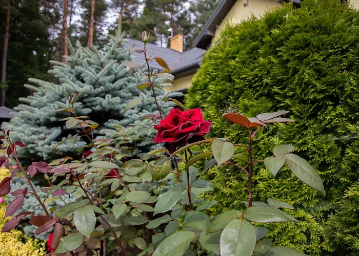 Sloneczny Zakatek 民宿 Debina (Ustka)