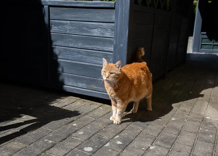 Sloneczny Zakatek 民宿