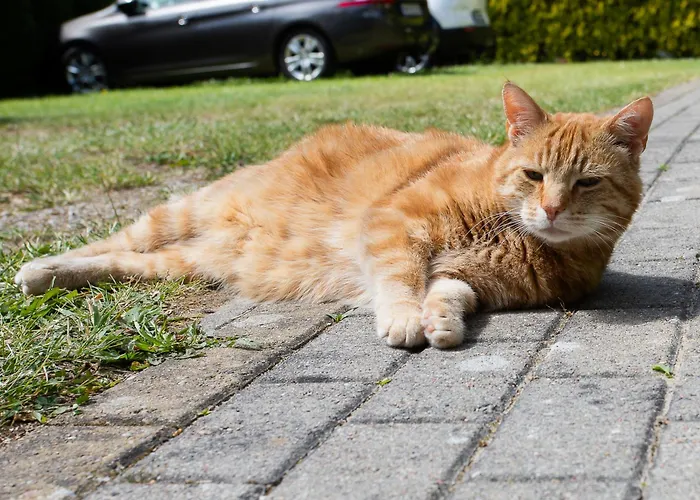 ホームステイ Sloneczny Zakatek Debina (Ustka)